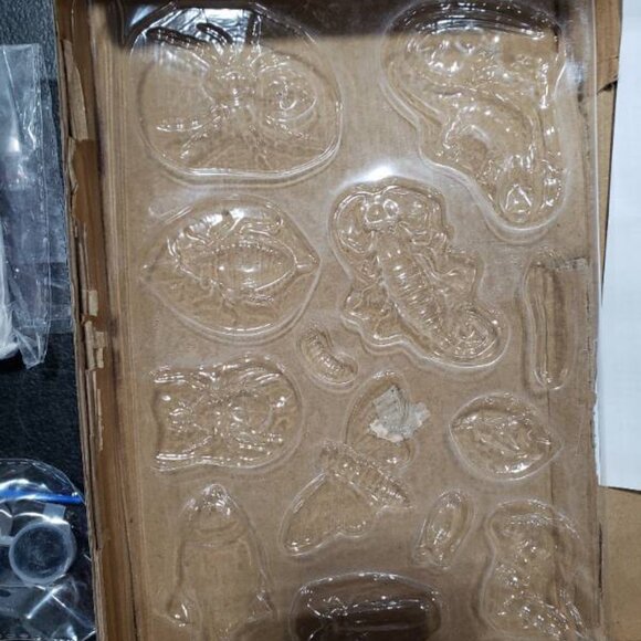 Mold and Paint Your Own Creepy Crawlers Craft Set - Picture 5 of 5